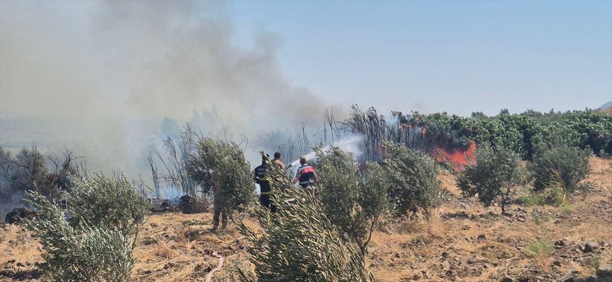 Kırıkhan'da zeytinlik yangını kontrol altına alındı