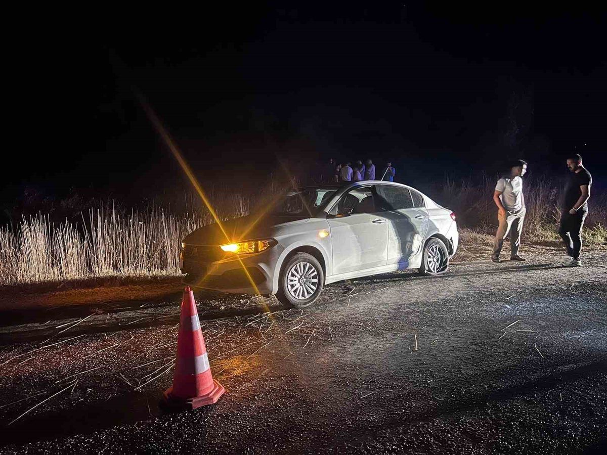 Bilecik'te Otomobil Şarampole Uçtu: Sürücü Yaralandı