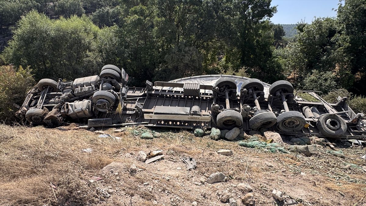 Kütahya'da Tır, Köpeklere Çarpmamak İçin Uçuruma Devrildi: 1 Yaralı
