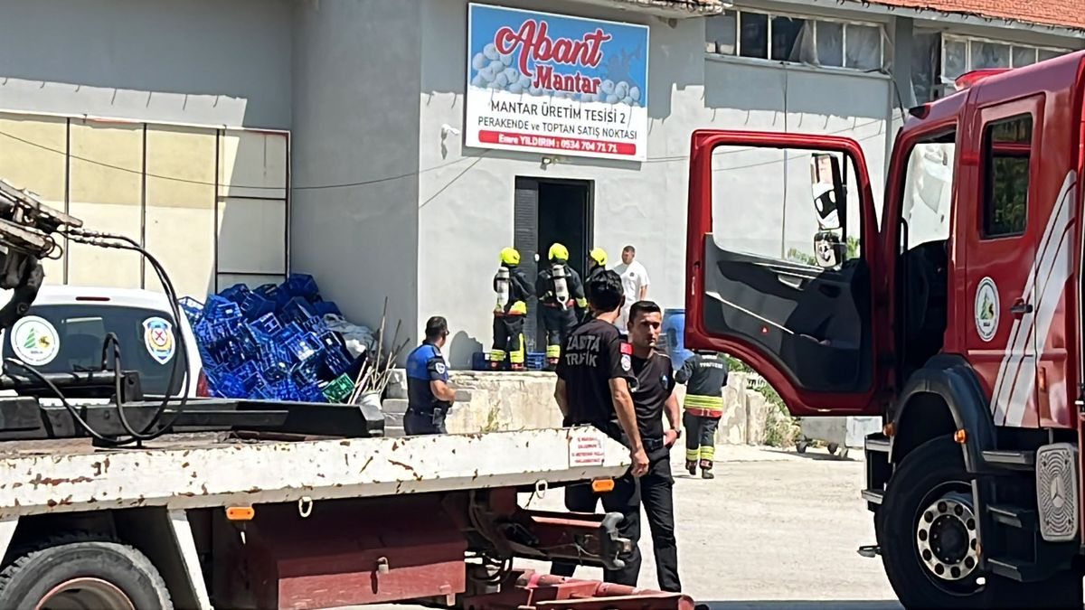 Bolu'da Mantar Tesisindeki İlaçlama Dumanı Yangın Paniği Yarattı