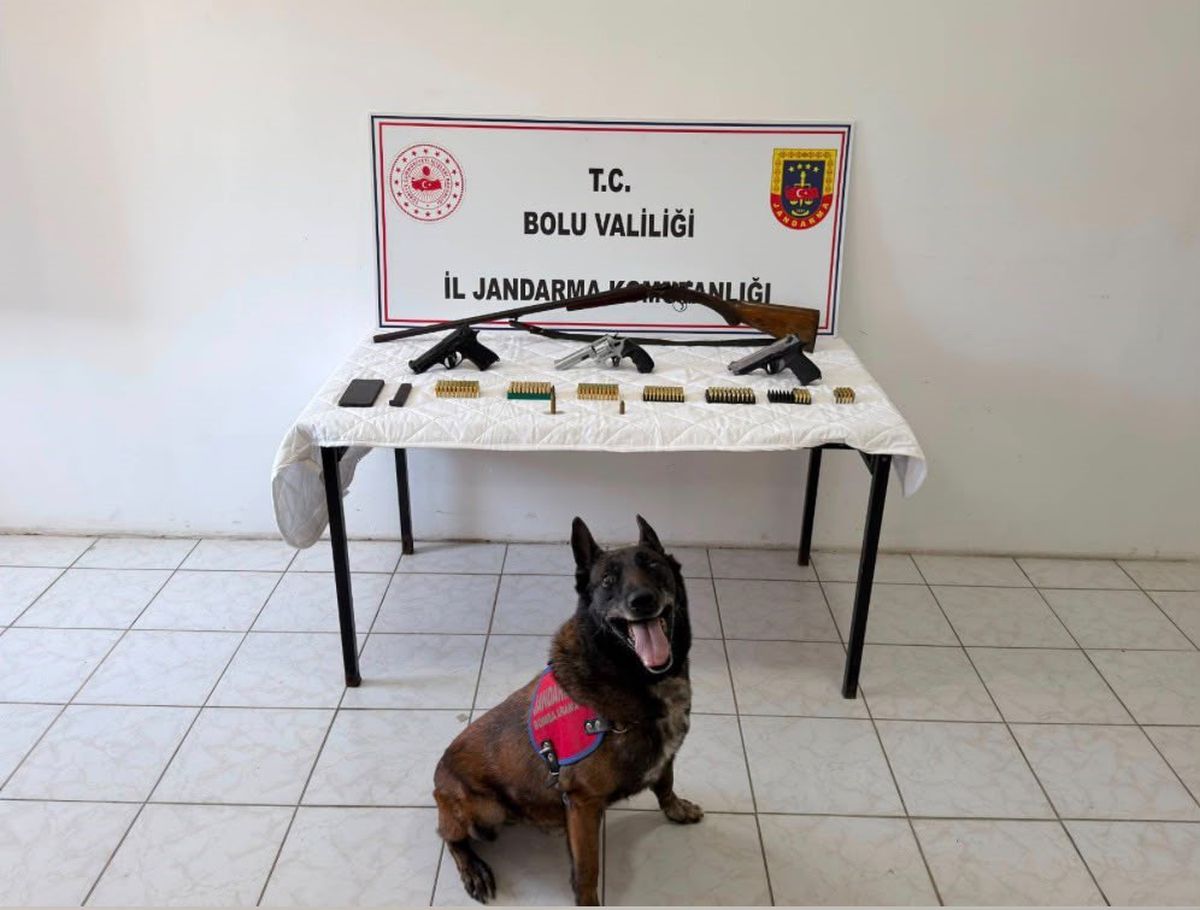 Bolu'da silah operasyonu: 1 tutuklama