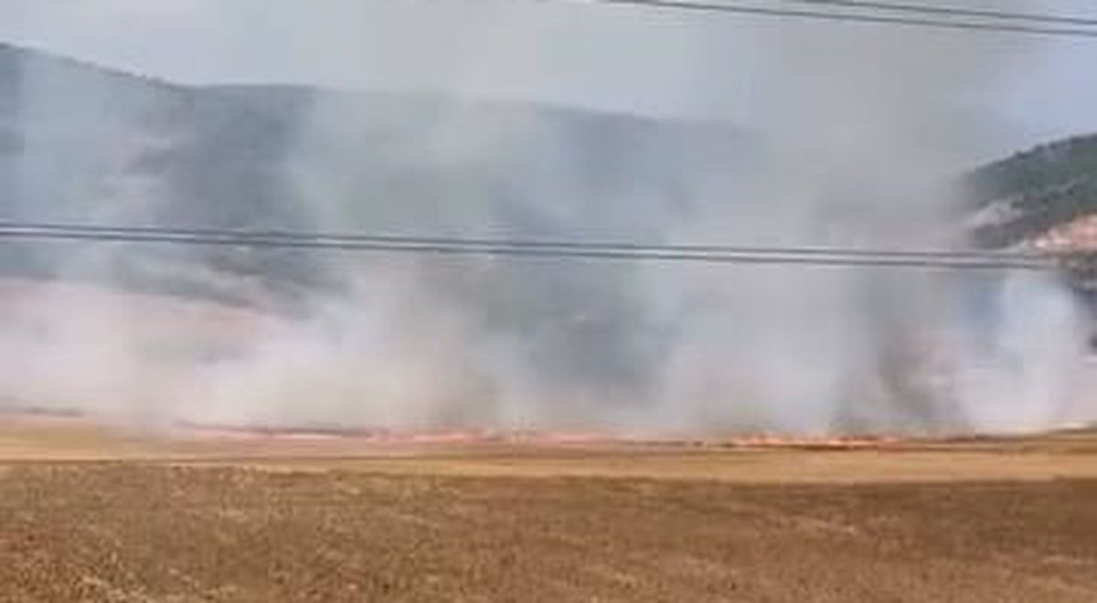 İnegöl'de Tarla Yangını: 16 Yaşındaki Şüpheli Gözaltında