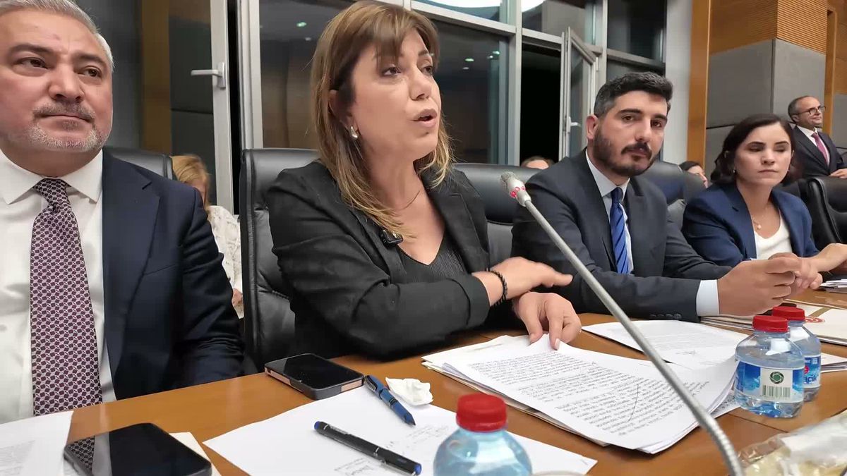 'Çerçeve Yasa' teklifi Adalet Komisyonu'nda... Danış Beştaş: Kürtler artık siyasetin malzemesi olmak istemiyor