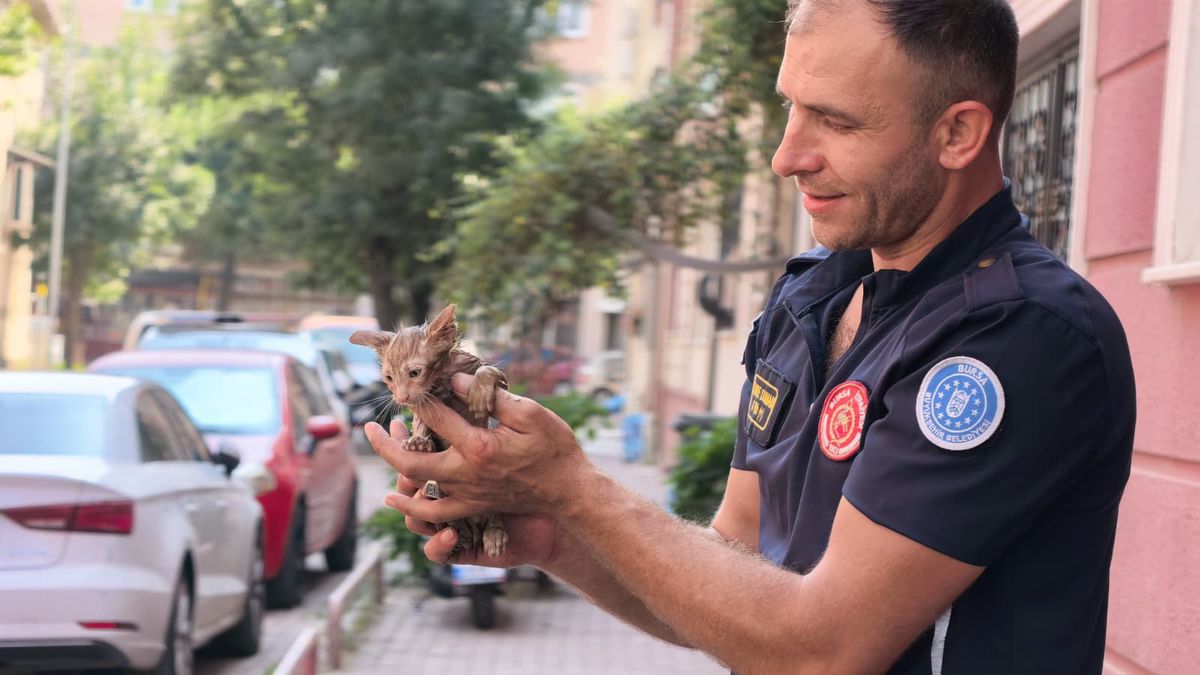 İnegöl'de Yağmur Borusuna Sıkışan Yavru Kedi Kurtarıldı
