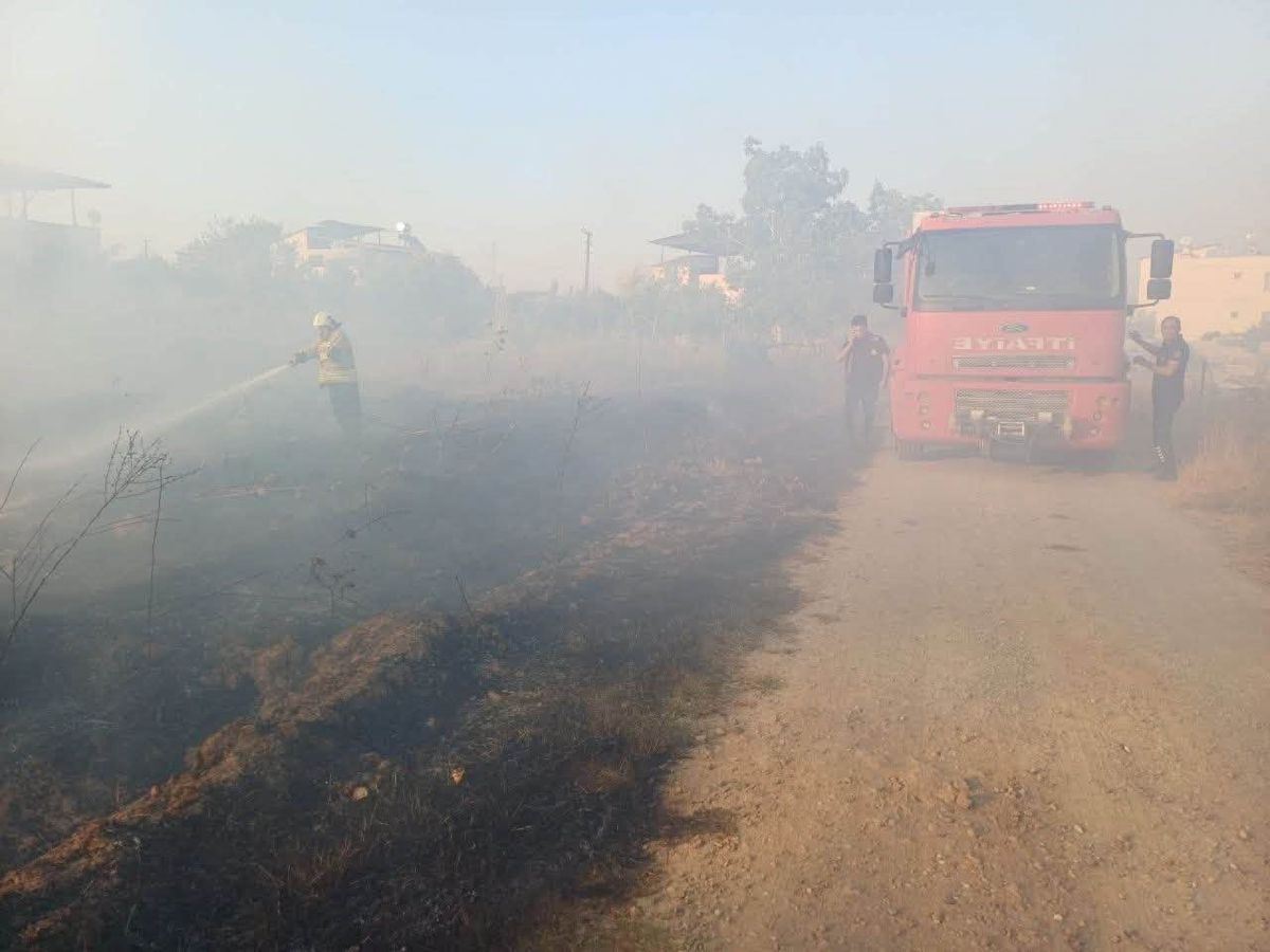 Hassa'da Zeytinlik Yangını Kontrol Altına Alındı