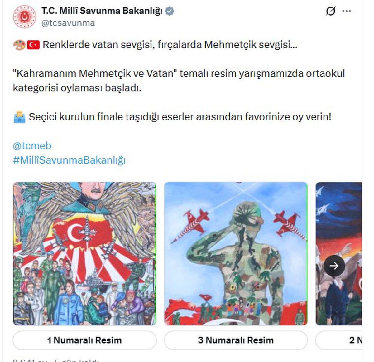Kahramanım Mehmetçik ve Vatan Resim Yarışması'nda Halk Oylaması Başladı