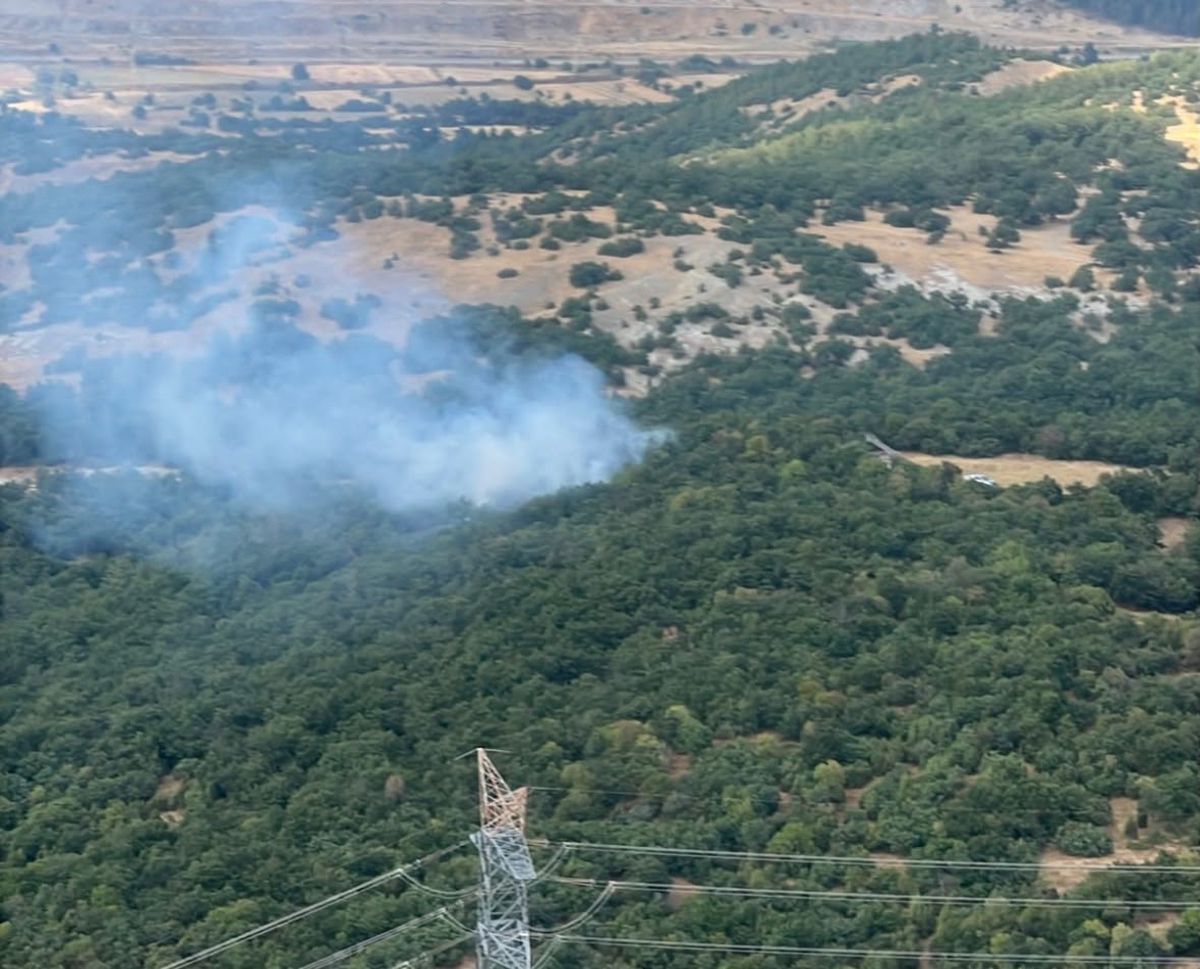 Tavşanlı'da Orman Yangını Büyümeden Söndürüldü