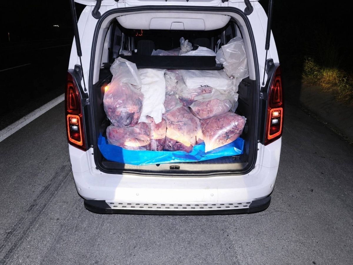 Tarsus’ta Hijyensiz Sakatat Operasyonu