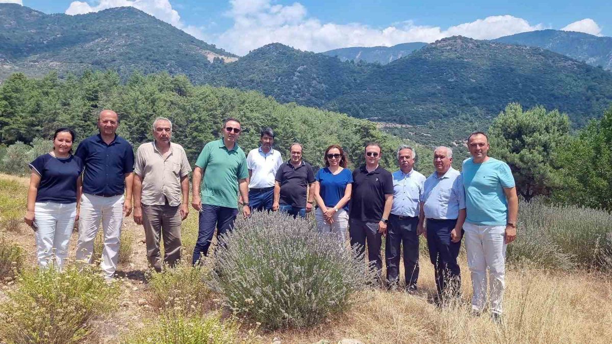 Muğla'da Tıbbi ve Aromatik Bitki Bahçeleri İncelendi, Distilasyon Tesisi İçin Değerlendirme Yapıldı