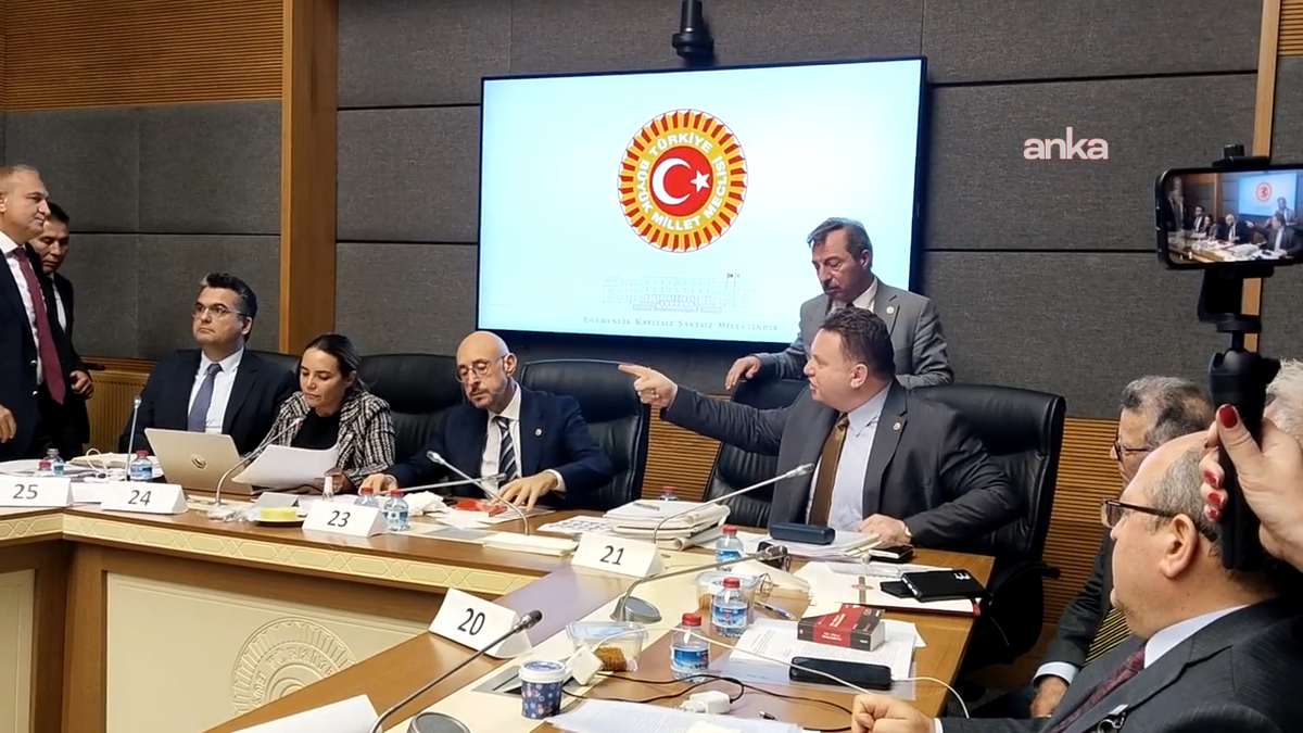 Türkeş'ten Bülbül'e tepki: Dehşet verici