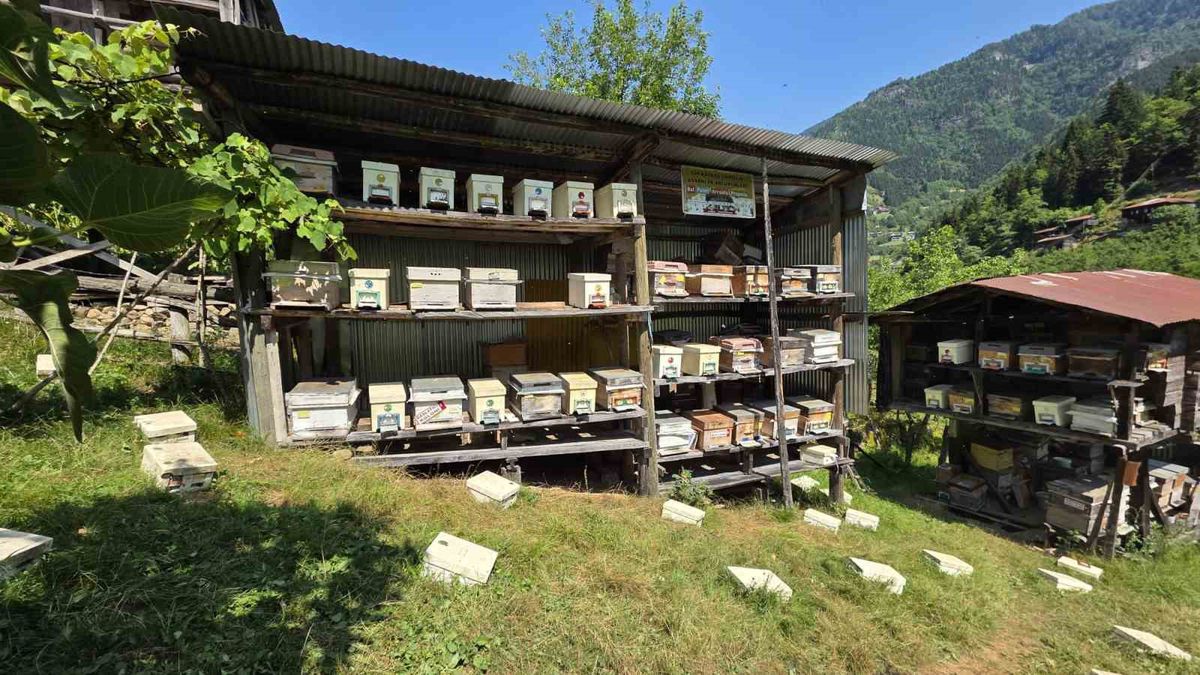 Macahel’de 2026 Bal Hasat Sezonu Törenle Açıldı
