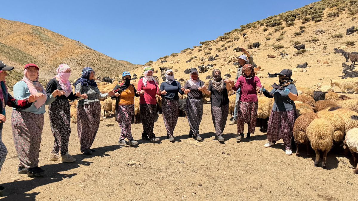 Yüksekova’da Berivanların Zorlu Yayla Mesaisi Halayla Taçlanıyor