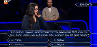 Avrupa Evcil Hayvan Maması Endüstrisi Federasyonunun 2023 verilerine göre, hangi ülkede evcil kedi nüfusu diğer üçünden açık ara daha fazladır?
