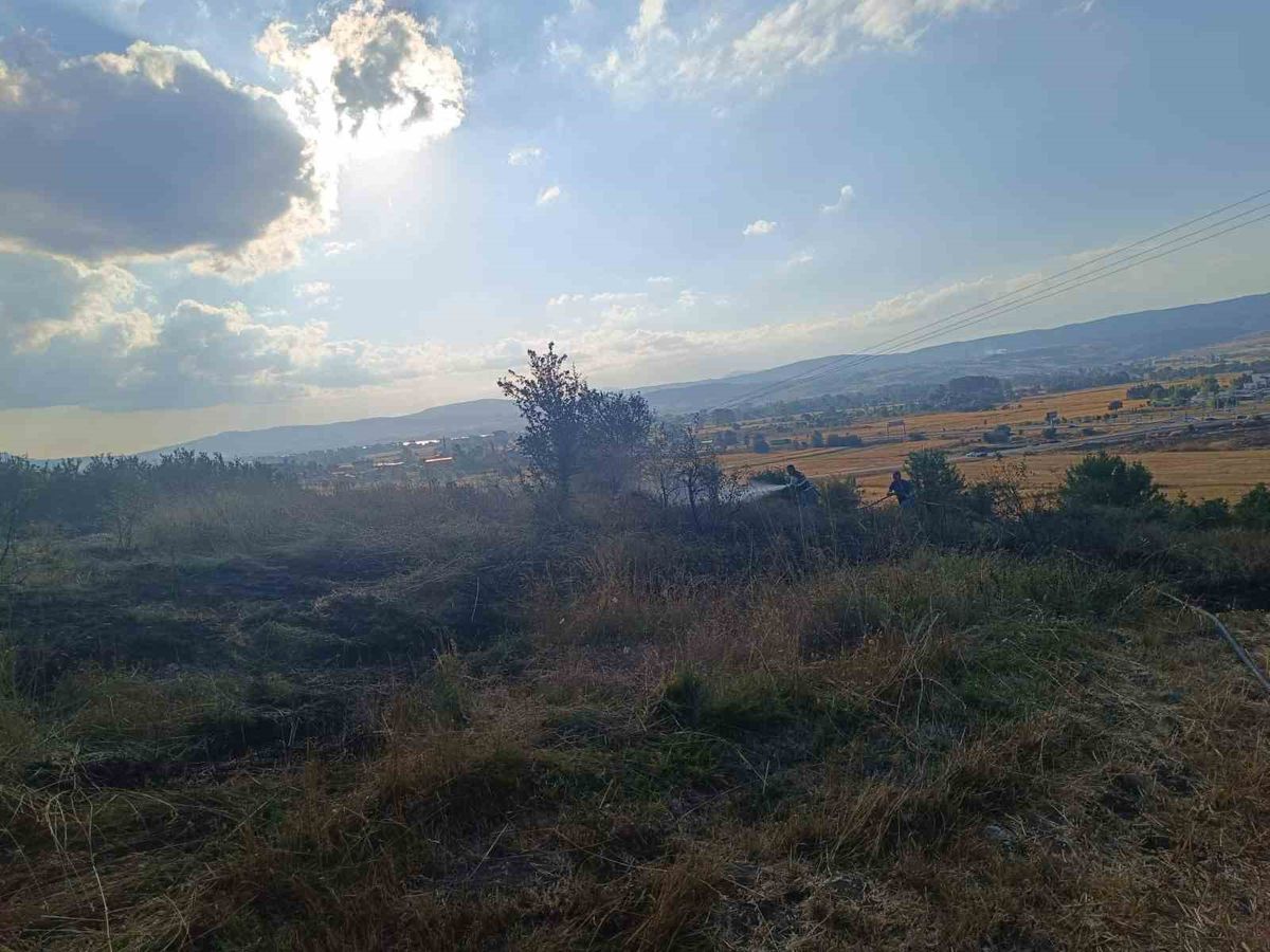 Bolu'da Anız Yangını Kontrol Altına Alındı