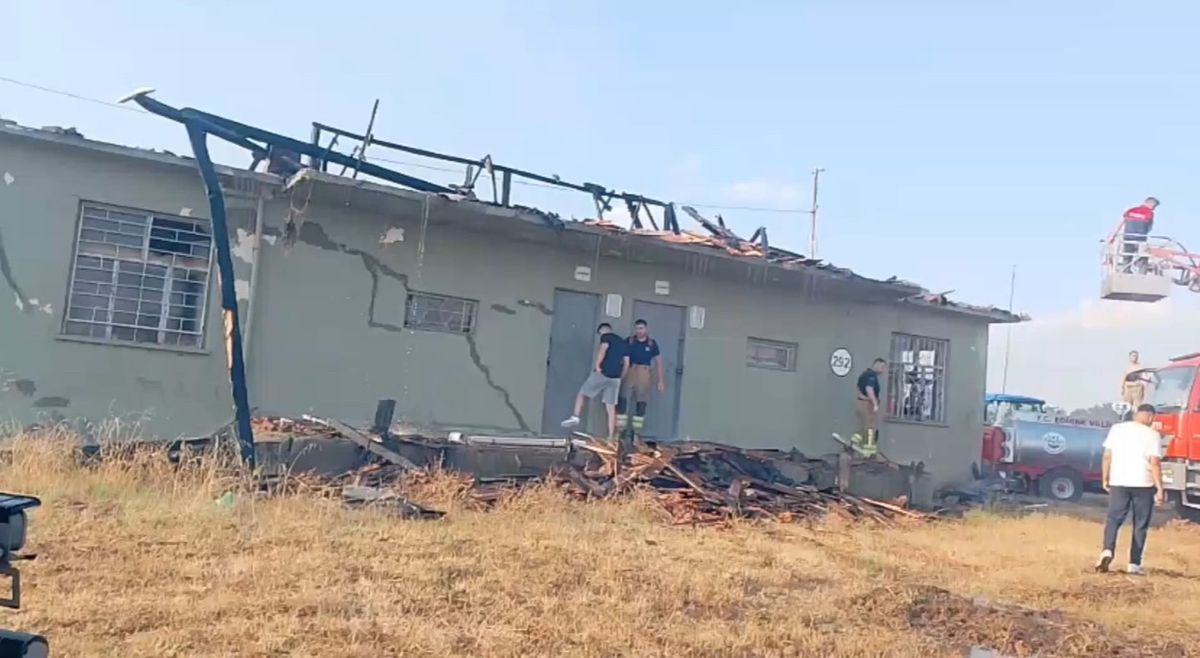Meriç'te Anız Yangını Ormana Sıçradı