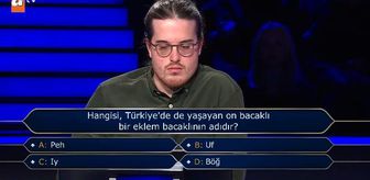 Hangisi, Türkiye'de de yaşayan on bacaklı bir eklem bacaklının adıdır?