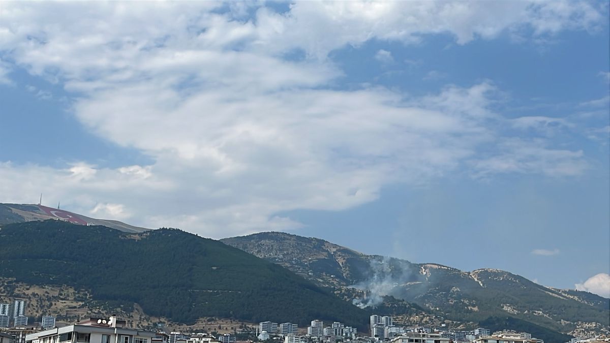 Kahramanmaraş'ta Orman Yangını Kısa Sürede Söndürüldü