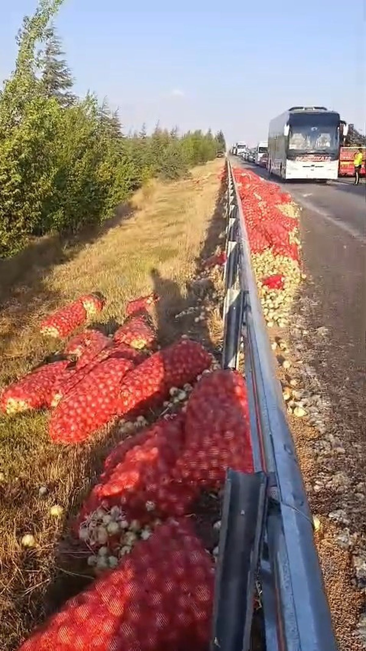 Eskişehir'de Soğan Yüklü Kamyon Devrildi: 2 Yaralı, Yol Trafiğe Kapandı