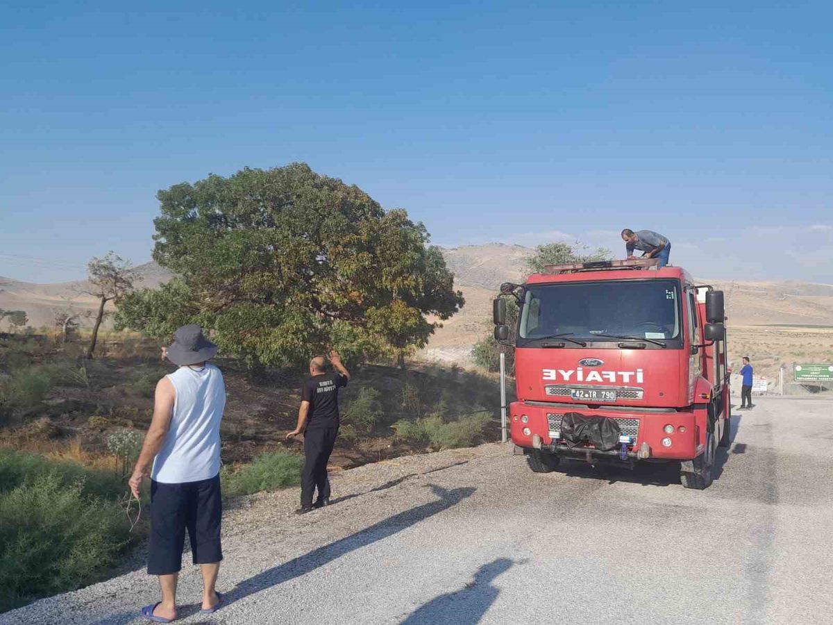 Karapınar'da Ot Yangını Kontrol Altına Alındı