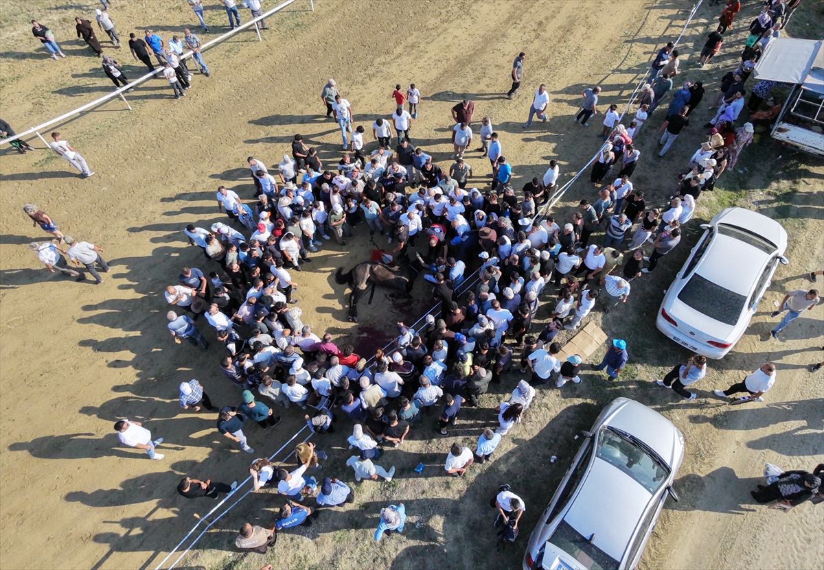 At Yarışında Çarpışma: 2 At Telef Oldu