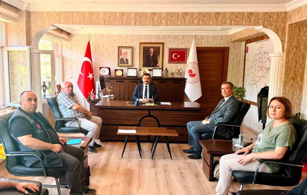 Gölpazarı'nda Köy İhtiyaçları ve Projeler Masada