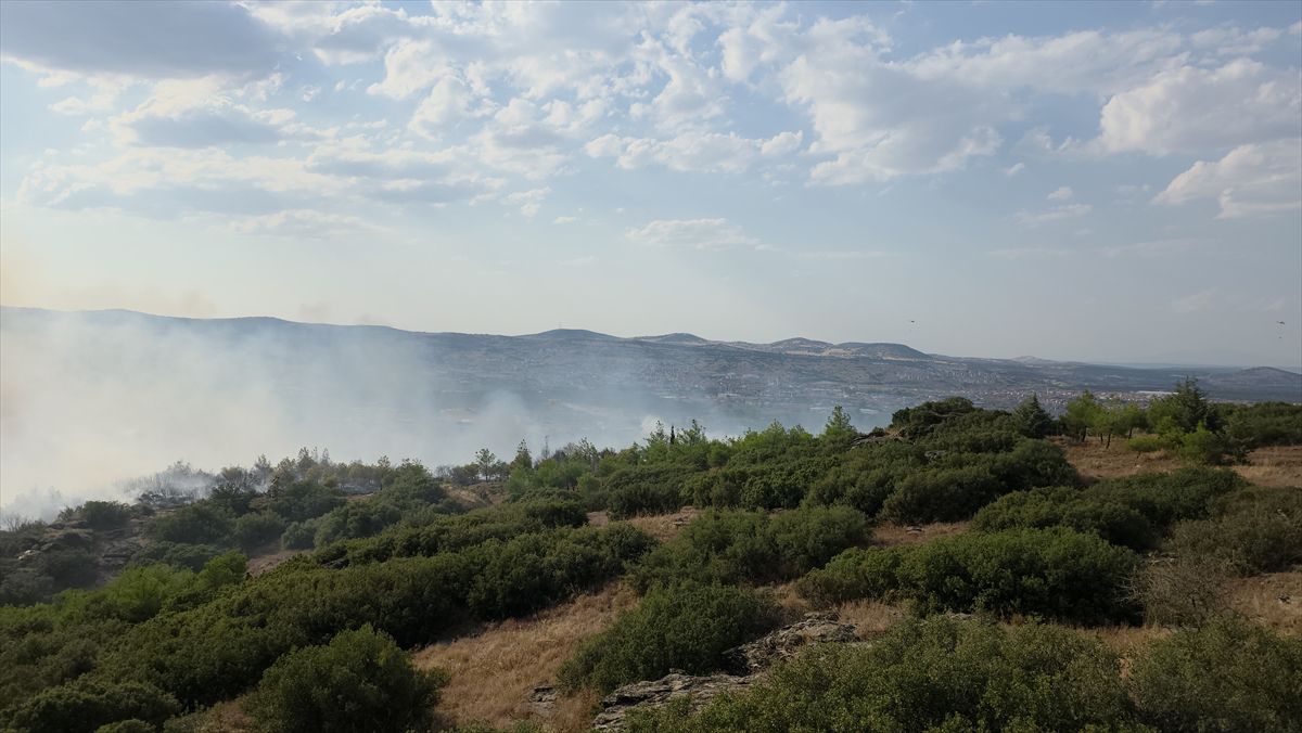 Kula'da orman yangınına müdahale
