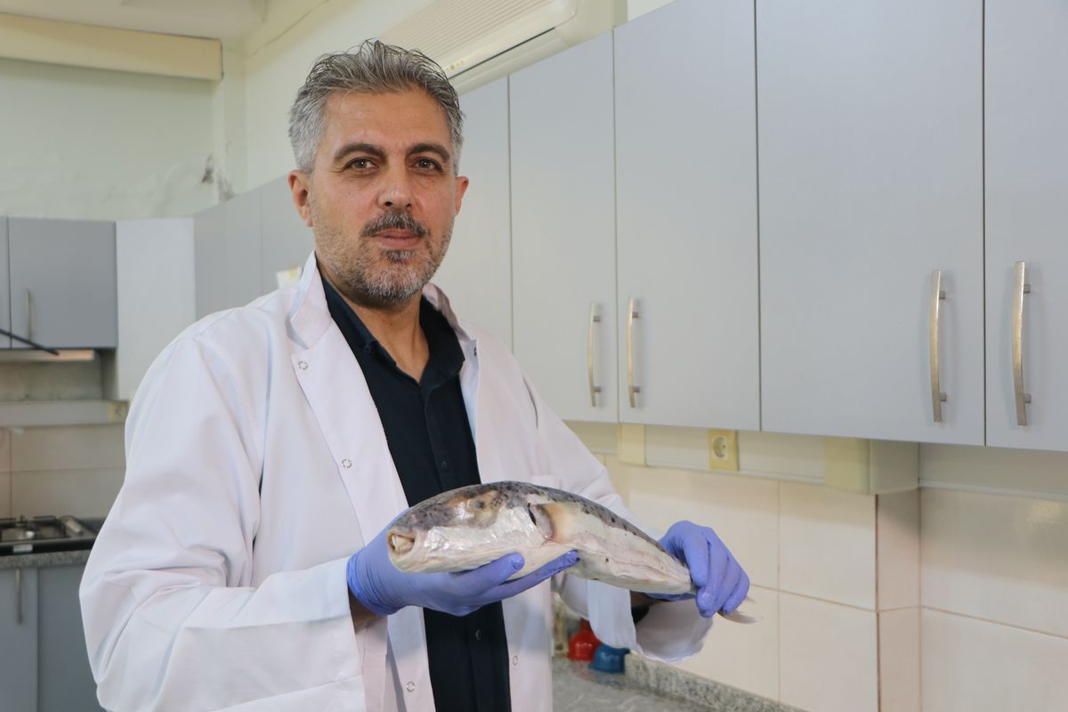 Akdeniz'de Zehirli Deniz Canlıları Uyarısı