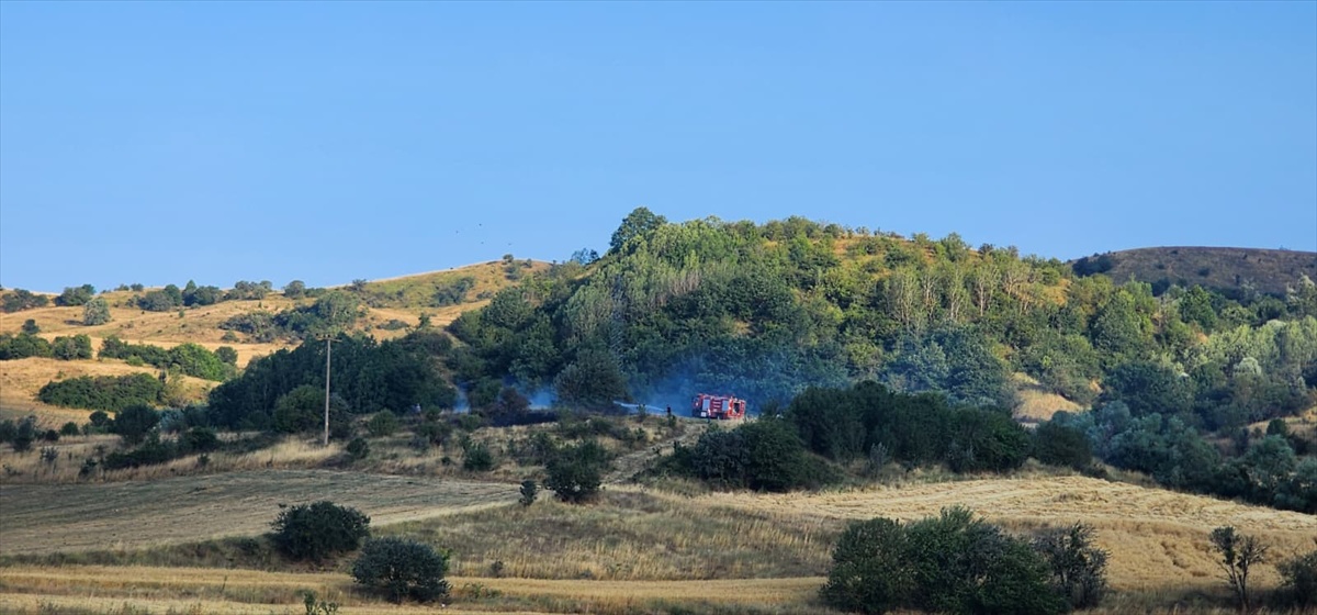 Bolu'da anız yangını kontrol altına alındı