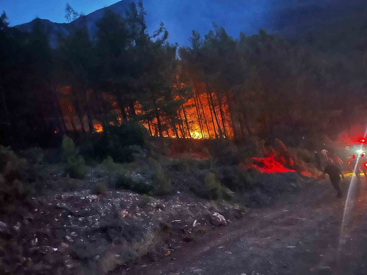 Alanya'da orman yangını kontrol altına alındı
