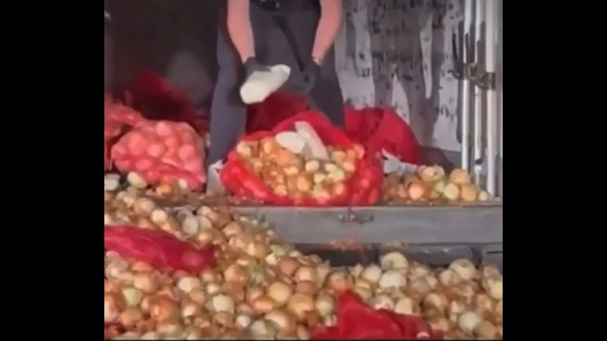 Soğan Yüklü TIR'da 150 Kilogram Metamfetamin Ele Geçirildi