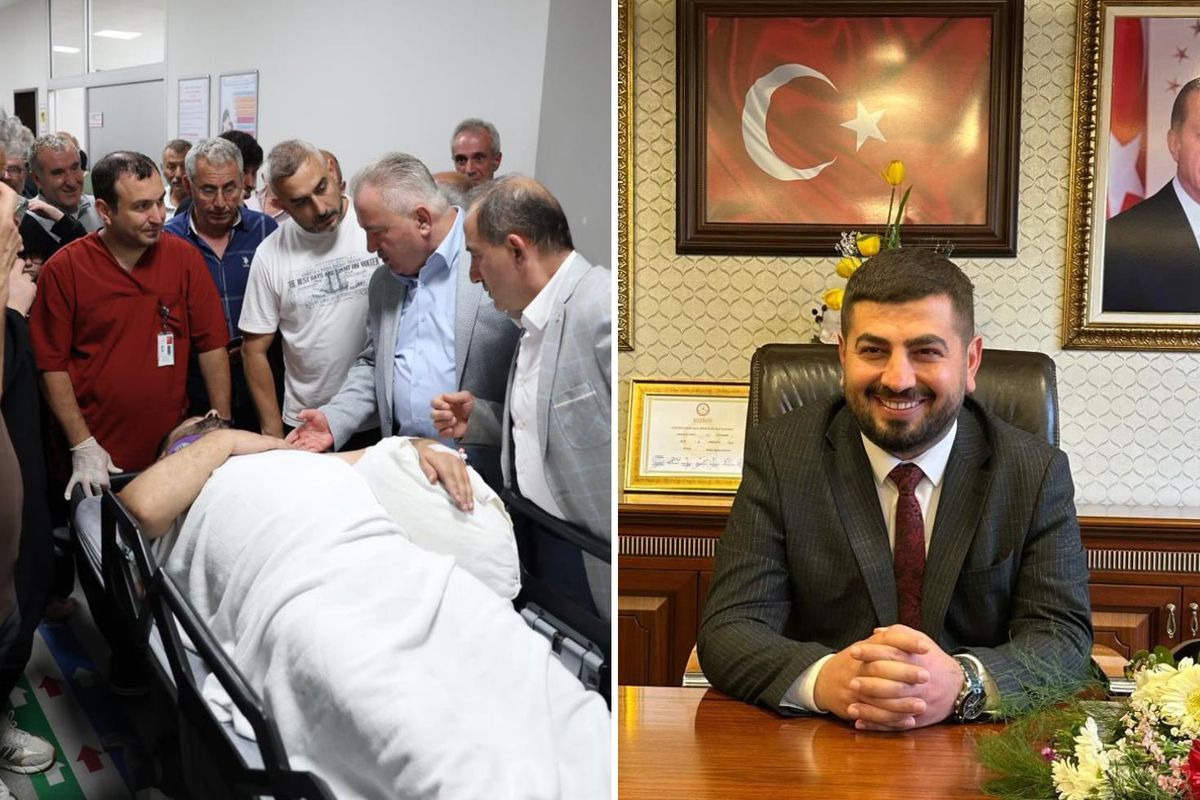 Arı kovanı bakımı yapan belediye başkanı iskeleden düşüp yaralandı
