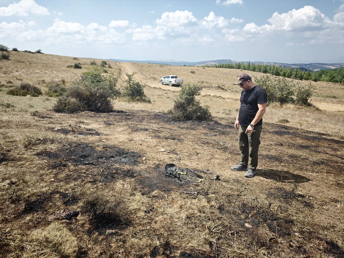 Söğüt'te Arazi Yangını Kontrol Altına Alındı