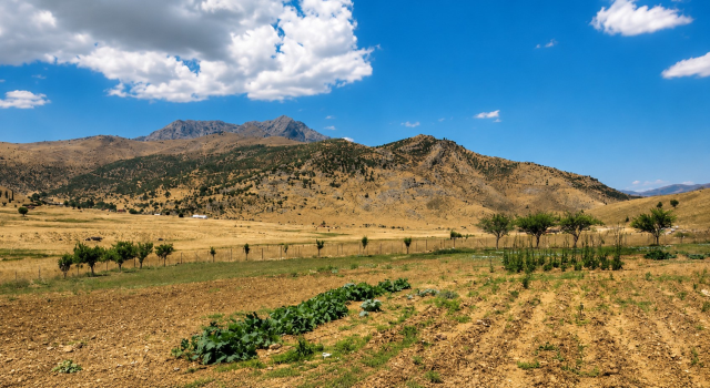 Cevizdalı village demands reattachment to Bitlis