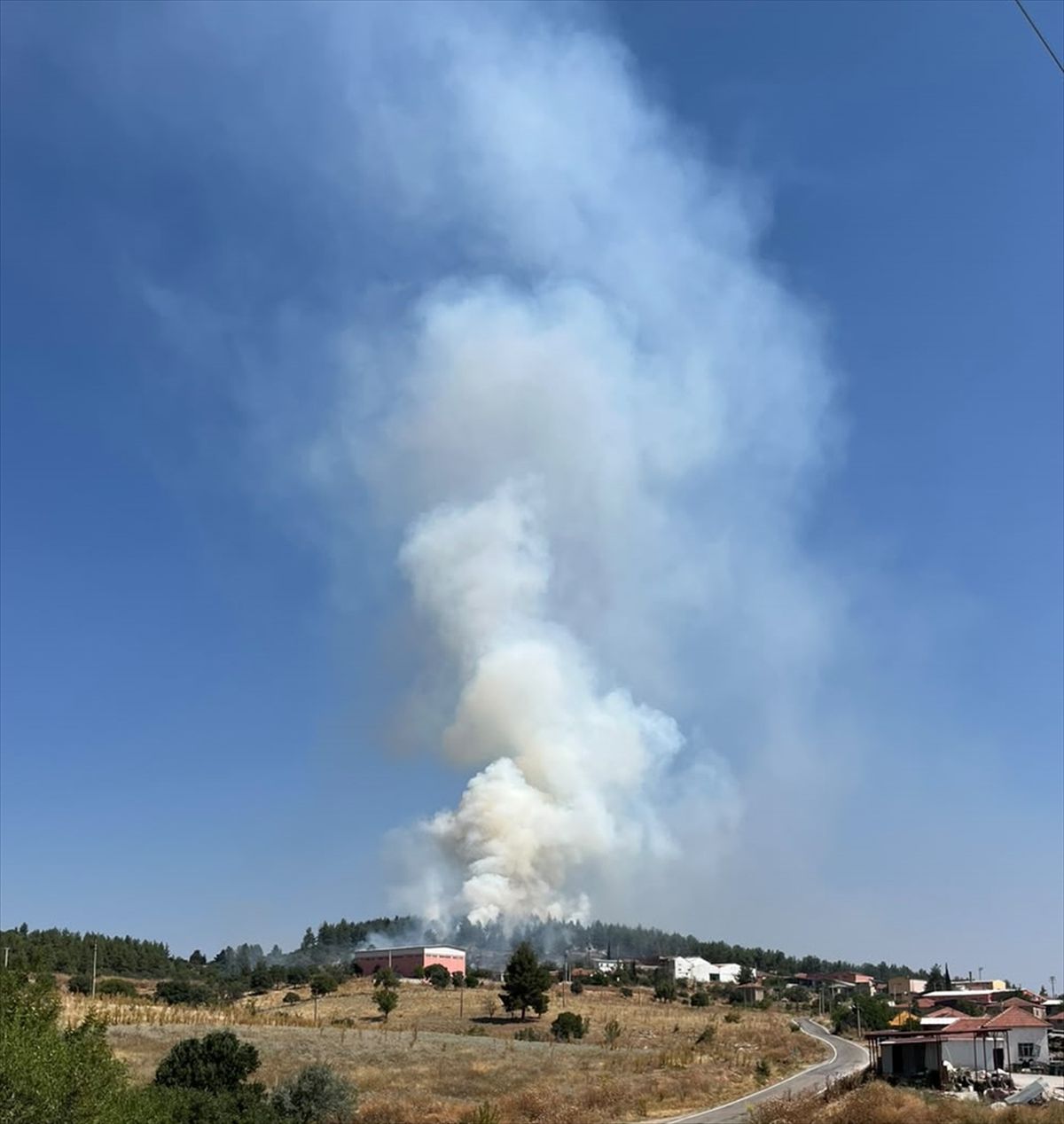 Bekilli'deki orman yangını kontrol altına alındı