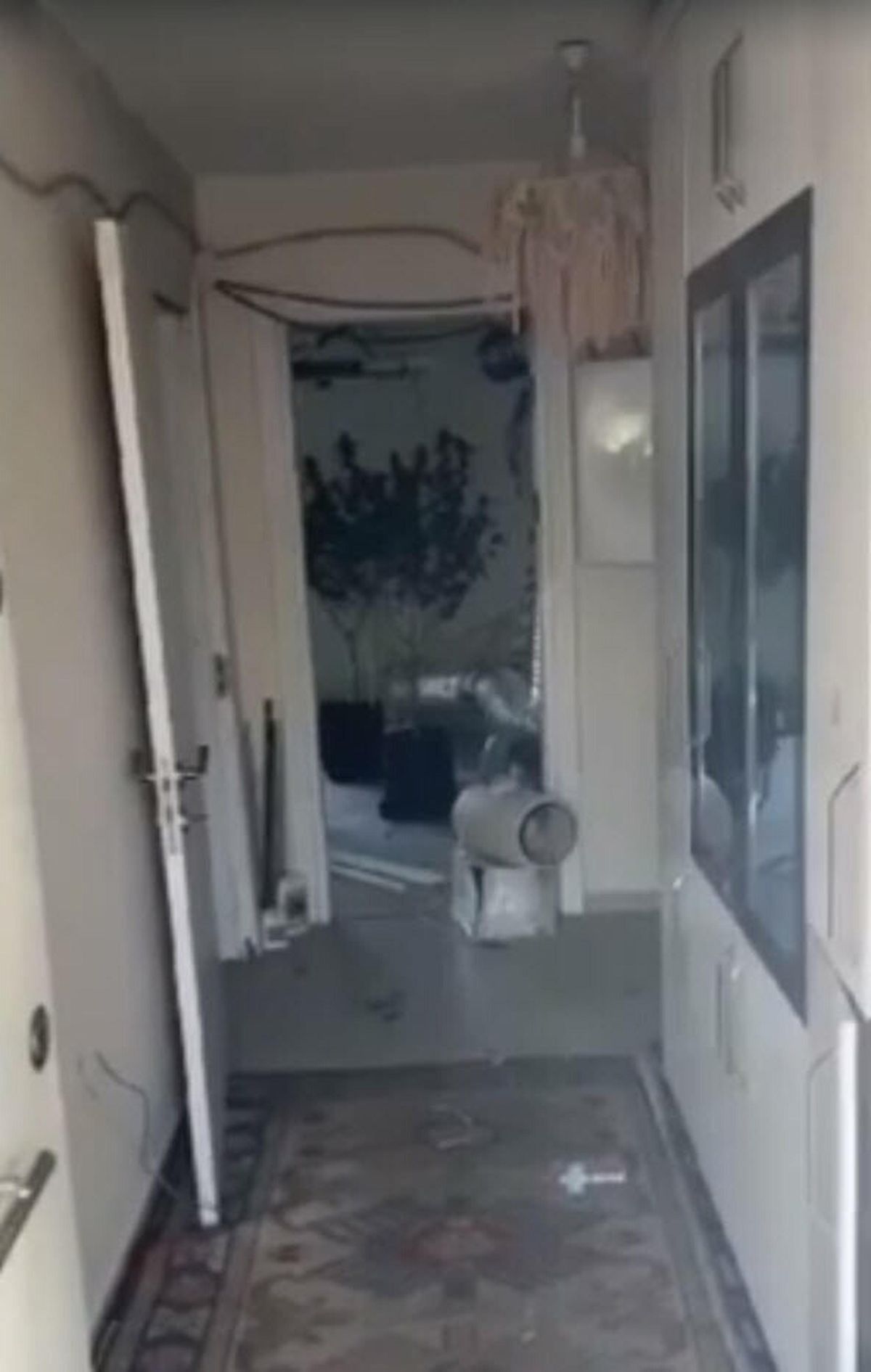 Bodrum'da Uyuşturucu Operasyonu: 10 Kilo Skunk ve 56 Kök Kenevir Ele Geçirildi
