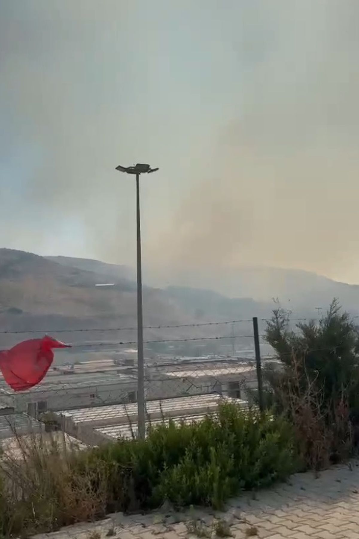 Hatay’da Orman Yangını: Ekipler Seferber Oldu