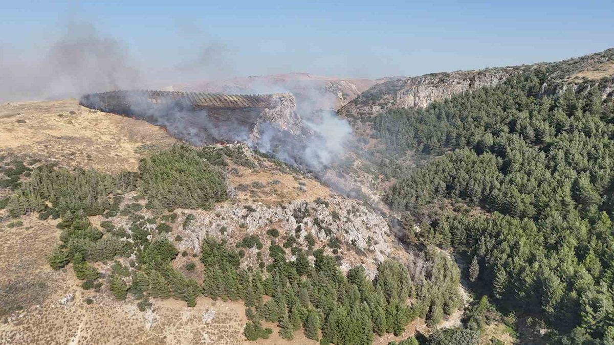 Hatay'da yangın: Orman ve zeytinlik alevler içinde