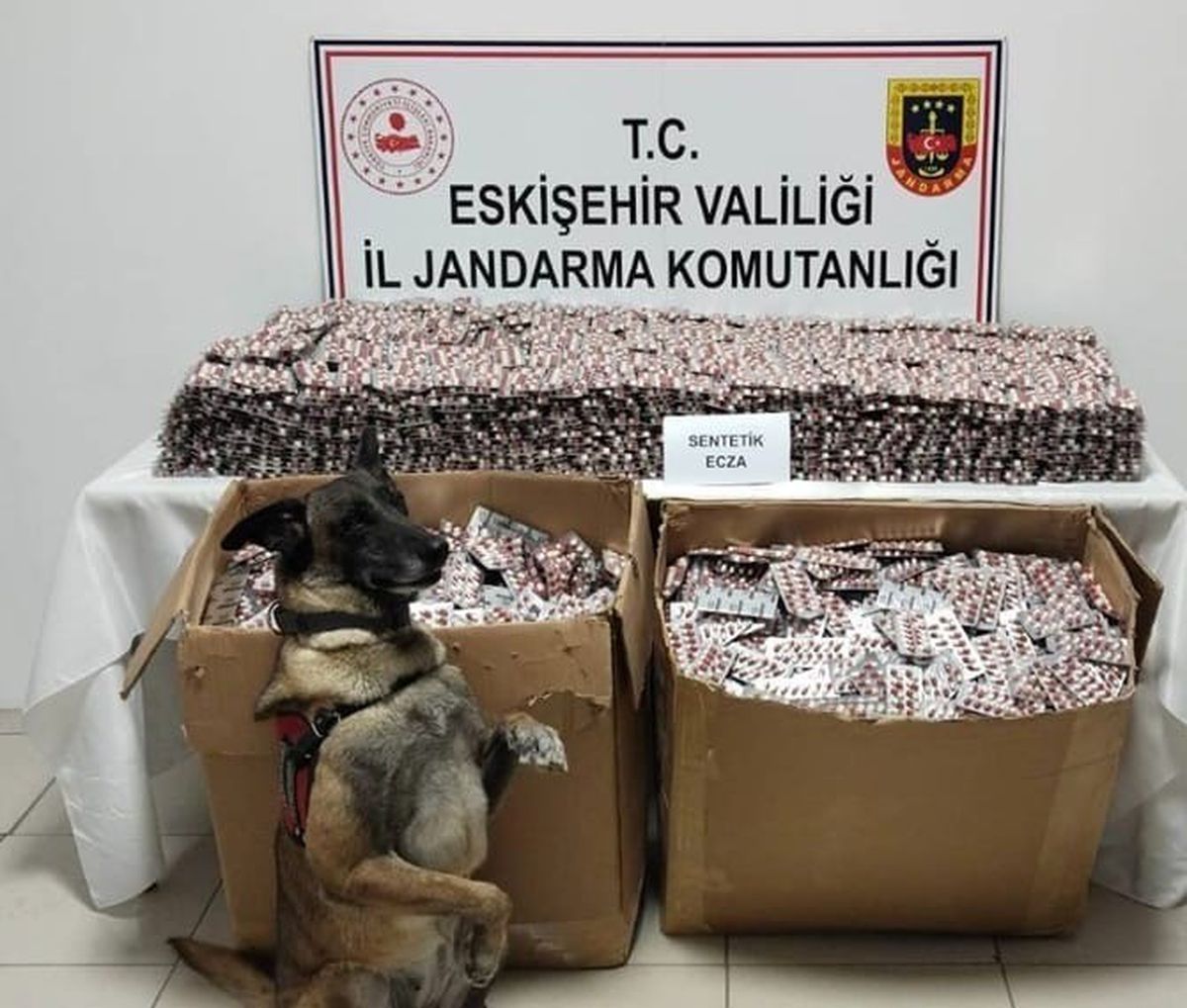 Eskişehir'de Büyük Uyuşturucu Operasyonu: 84 Bin 227 Sentetik Ecza Ele Geçirildi