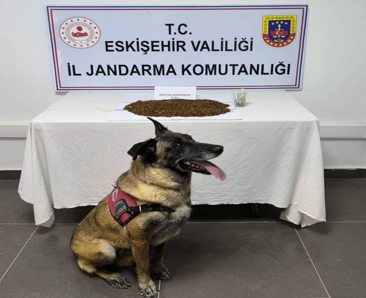 Eskişehir'de Bonzai Operasyonu: 361 Gram Ele Geçirildi, Şüpheli Tutuklandı