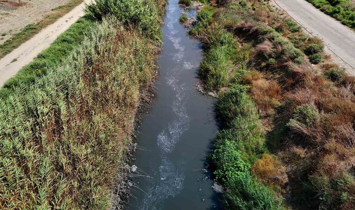 Akdeniz'de Mikroplastik Alarmı: Adana'da Denetimler Sıkılaştı