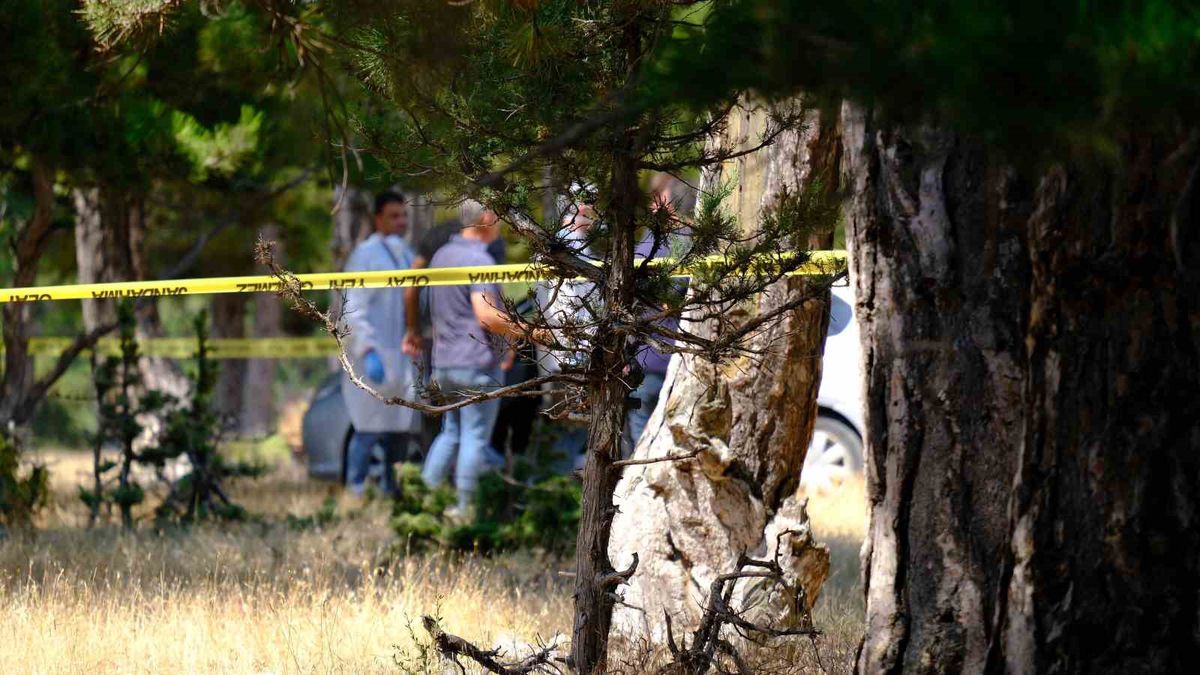 Mut'ta Kayıp Kadın Karaman'da Ormanlık Alanda Ölü Bulundu
