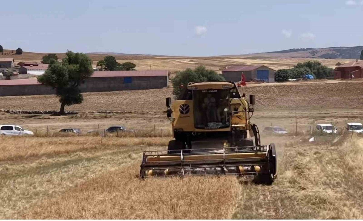 Kütahya’da Yerli ve Milli 18 Nohut Çeşidi Üreticilerle Buluştu