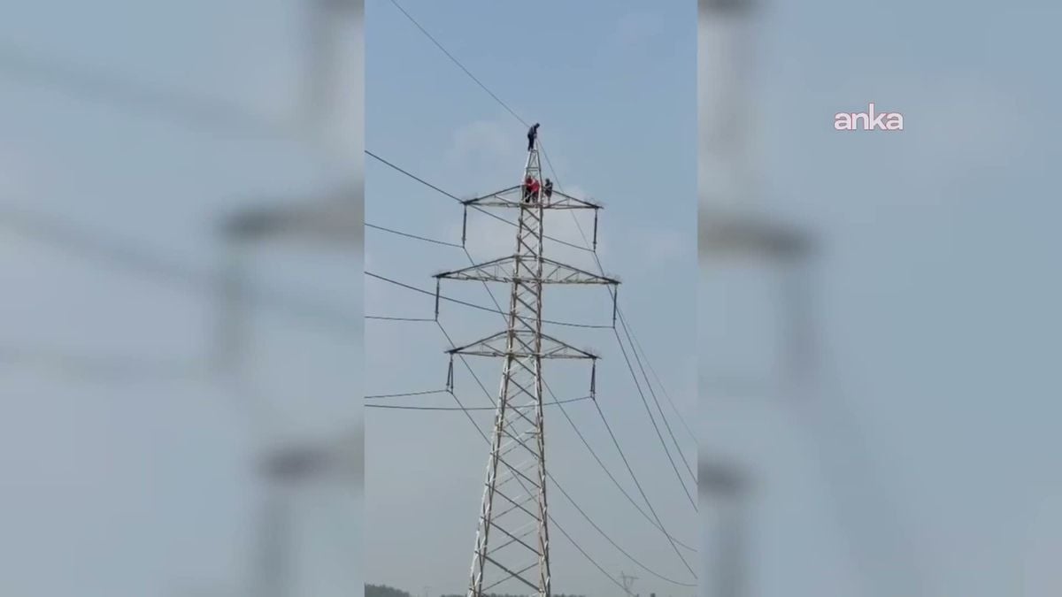 Osmaniye'de Alacakları İçin Elektrik Direğine Çıkan 4 İşçi İkna Edilerek İndirildi