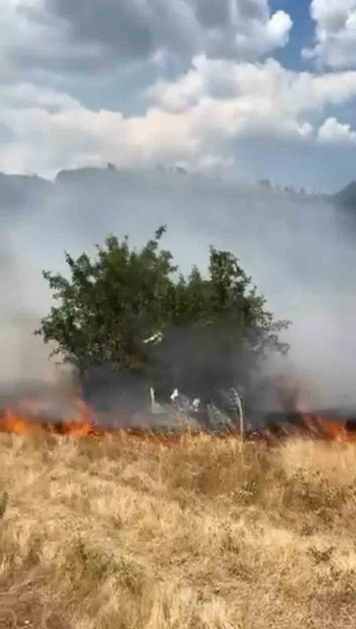 Safranbolu'da ot yangını büyümeden söndürüldü