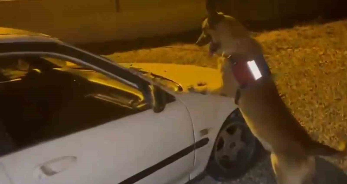 Bartın'da otomobilin kaputuna gizlenmiş uyuşturucu