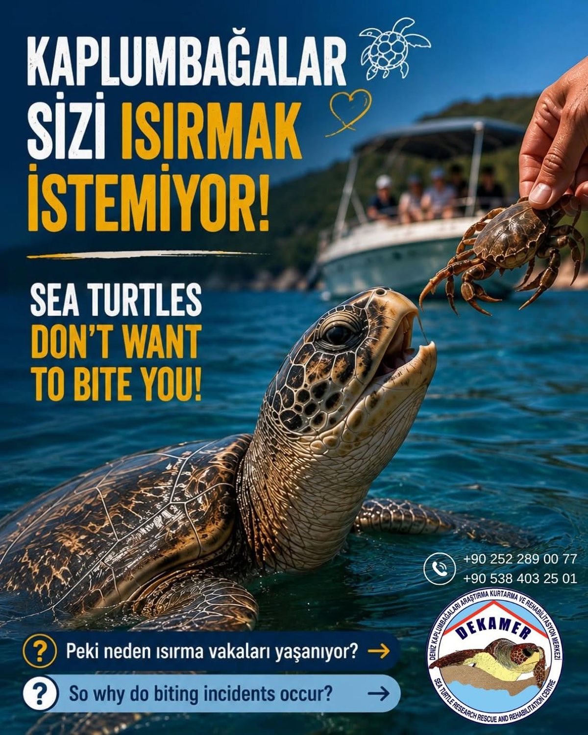 İztuzu Plajı'nda caretta caretta uyarısı: Beslemeyin, dokunmayın, yaklaşmayın