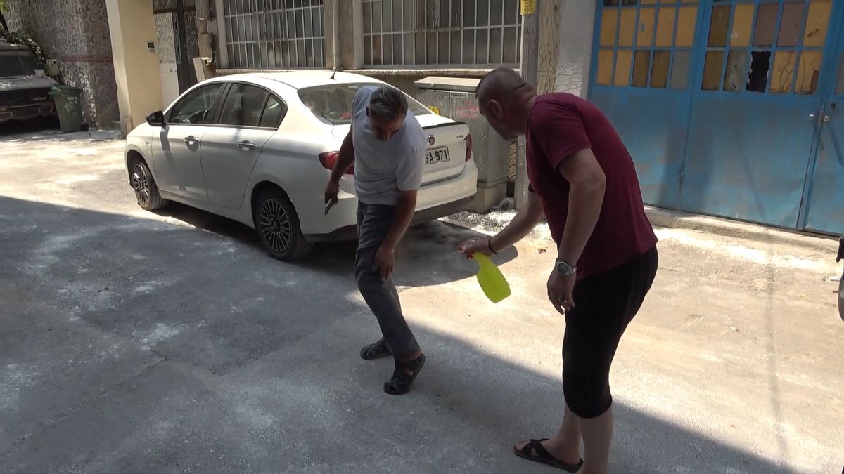 Bursa'da pire istilası: Mahalleli lavanta yağıyla korunmaya çalışıyor