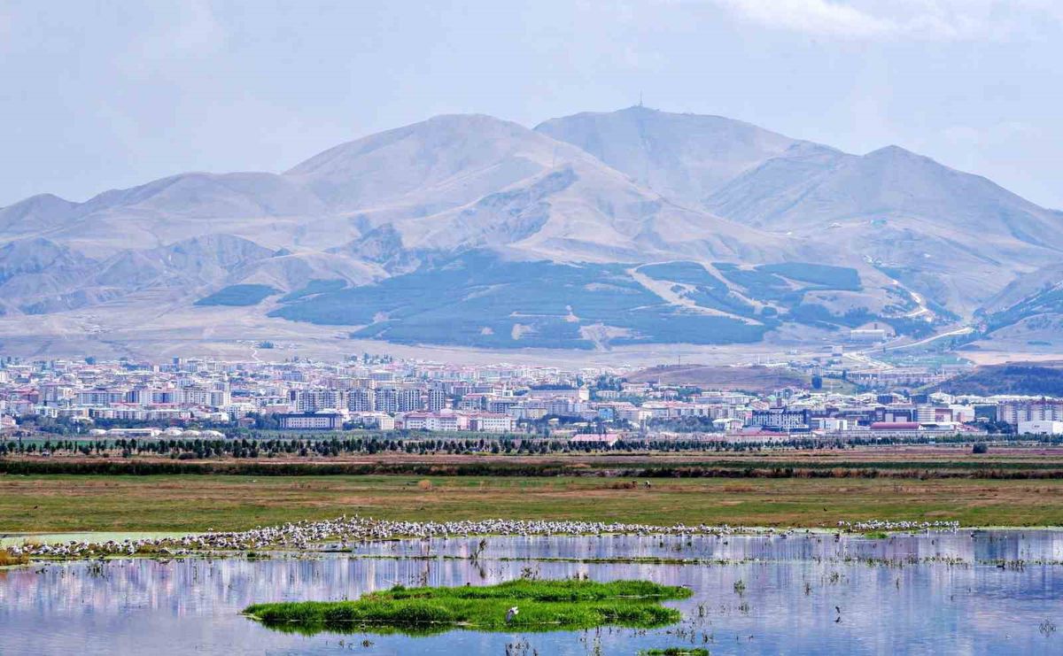 128 Yıllık Osmanlı Arşiv Belgesi: Erzurum'un Petrolü 1898'de Devlet Gündemindeydi