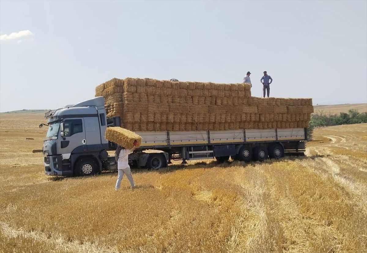 Çiftçiden Yangın Bölgesine 1200 Balya Saman
