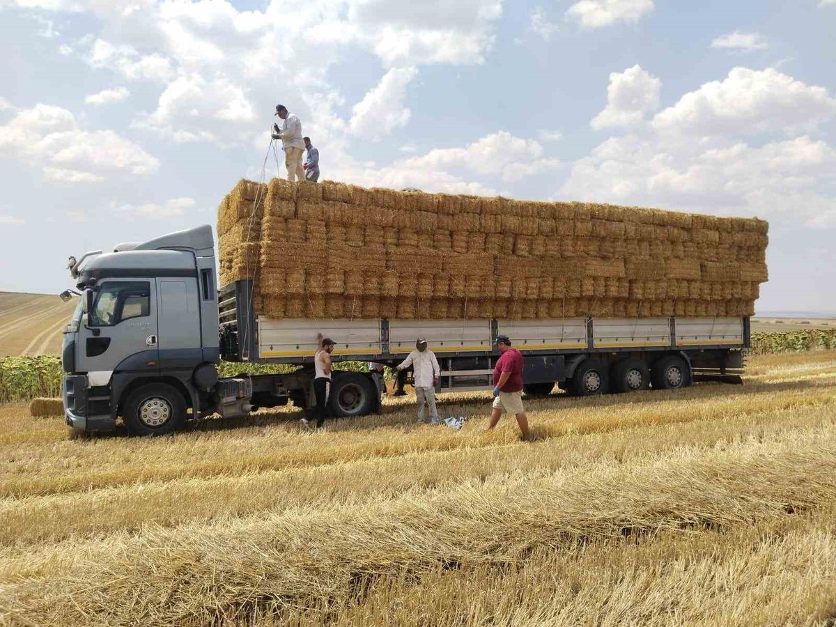 Genç çiftçiden yangın bölgesine 1200 balya saman desteği